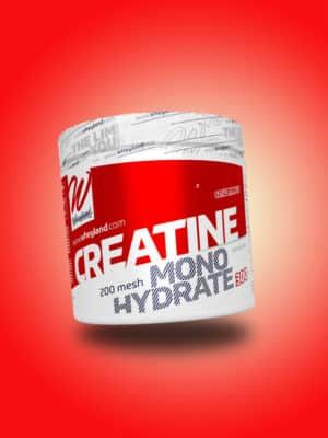 creatina 200 mesh wheyland