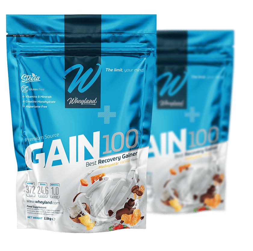 gain 100 recuperador masa muscular wheyland